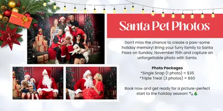 (8am - 8:20am) Santa Paws 2026: Santa Pet Photos