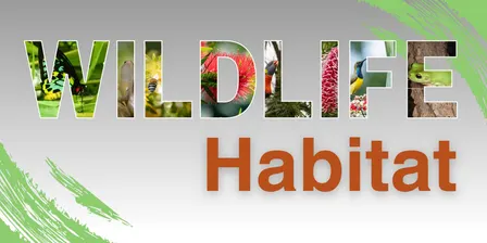 Creating Wildlife Habitat with Elle