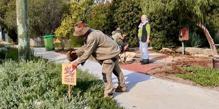 From Lawn to Living - A Native Verge Walking Tour