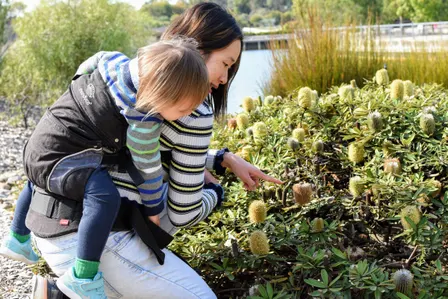 Greensborough Diamond Creek group of the Australian Breastfeeding Association