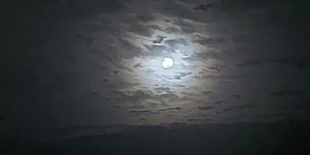 Women's Full Moon Circle