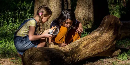 Bushrangers: Treasure Hunters - Spring 2026