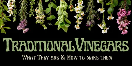 Traditional Vinegars: What They Are & How to Make Them