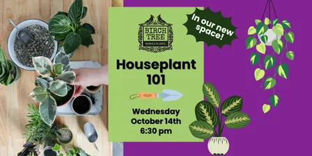 Houseplant 101 - October