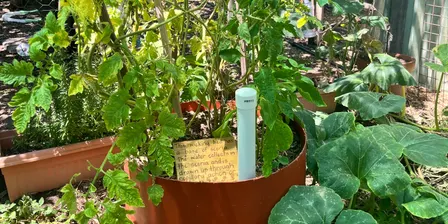 Heat Proofing Your Garden