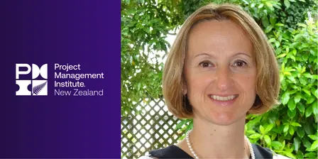 Secrets of Successful Cross-Sectoral Collaborations Seen Through the Project Management Lens