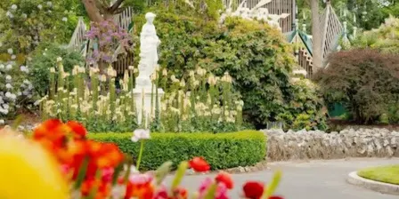 Guided Nature & Forest Therapy  Ballarat Botanical Gardens