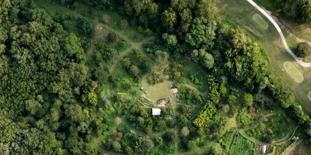 Retreat at Forested: Meditation, Qigong, Nature walk, and the Flavors of the Earth