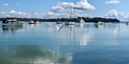 Free - improve your phone and camera photography - short beach walk