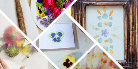 Making a Nature Print - Tatakizome Style