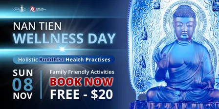 Wellness Day 2026, Family Activities in Wollongong (Illawarra)