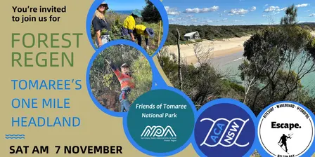 Coastal Forest Regen at Tomaree's One Mile - 7 November 2026