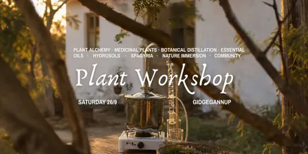 Workshop: Plant destilation Hydrosol & Essential Oil