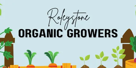 2026 Wind Up and Garden Quiz