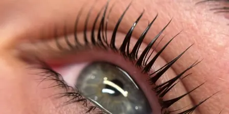 Korean Lash Lift Look + Learn