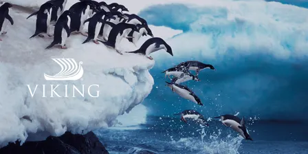Exceptional expedition cruising with Viking - Travel talk - Helloworld Toronto