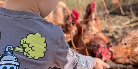 Farm Kindy Term 3, 2026