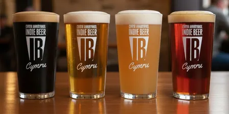 Indie Beer Fest Wales Friday Day Ticket