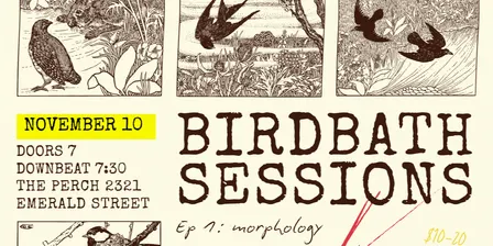 Birdbath Sessions Ep. 1: Morphology with Carlos Santiago, Asia Mieleszko, Salina Kuo & Pamela Fucello