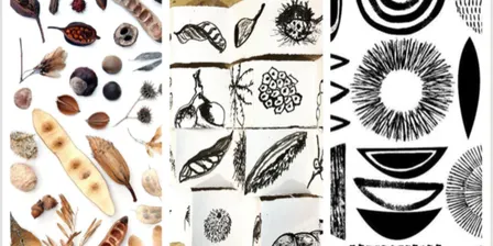 The Hidden Beauty of Seeds With Ink and Watercolour Wash