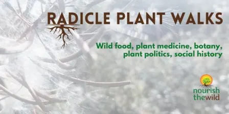 Radicle Plant Walks London - Wanstead Park
