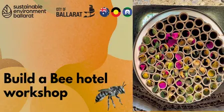 Build a Bee hotel workshop - Children's Week