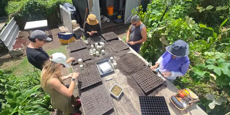 1000 Young Growers for Tāmaki - Full moon seed sowing