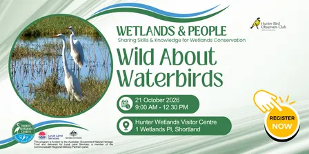 Wild About Waterbirds