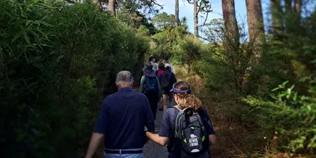 Discover Cox's Bay Reserve Blind Low Vision Walk