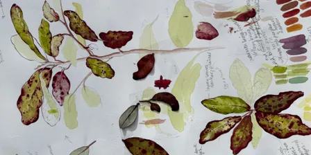 Botanical Art & Illustration Workshop - Learn to Draw and Paint New Zealand and Exotic Flora