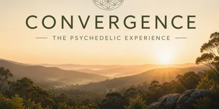 CONVERGENCE: The Psychedelic Experience
