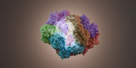 CCeMMP Research Symposium 2026