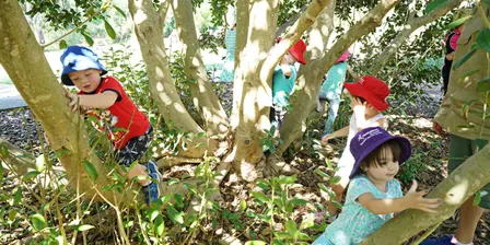 Introduction to Outdoor Learning, Bush School and Nature Play 2026
