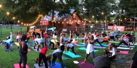 Goat Yoga on the Farm
