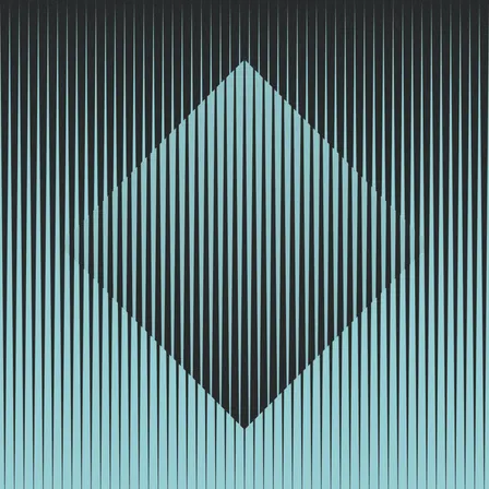 Public Life Collective 003