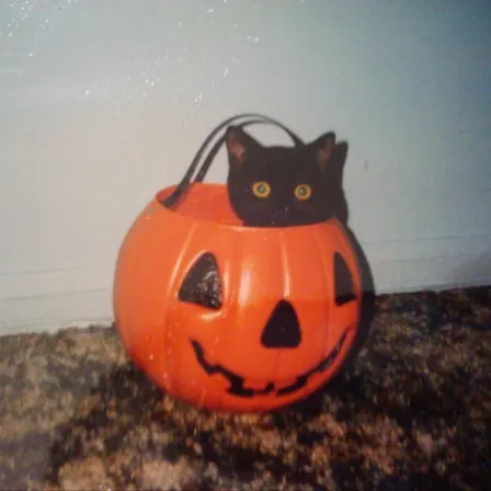 Halloween Shop + Craft!