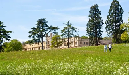 Free Offline Walk | Ashton Court 🚶☕