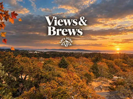 Views & Brews: Mount Tolmie x Maude's