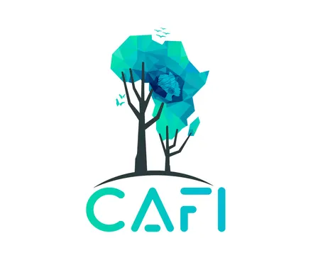 Standing Forests, Stronger Communities: A Working Session on CAFI’s Payments for Environmental Services in Central Africa