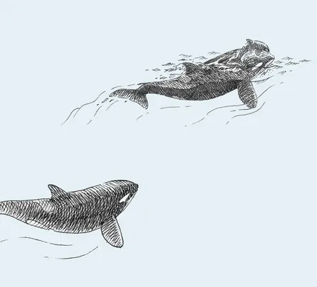 Motherhood and Interspecies Solidarity in a Time of Climate Crisis