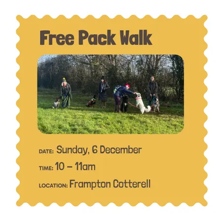 Festive Frolic - free pack walk