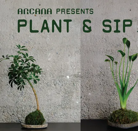 Japanese Art of Kokedama Making - Workshop