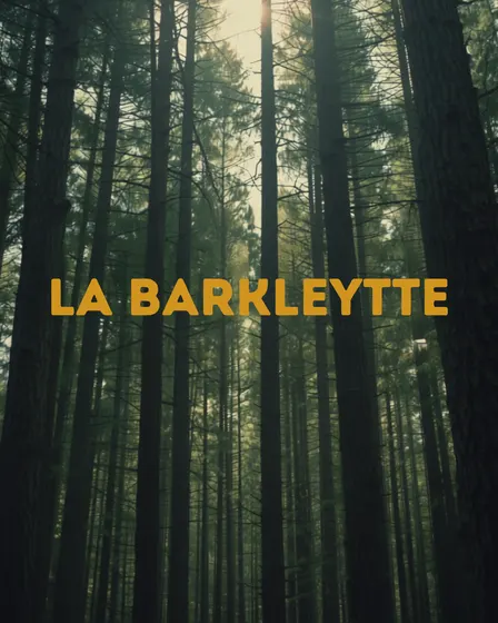 La Barkleytte