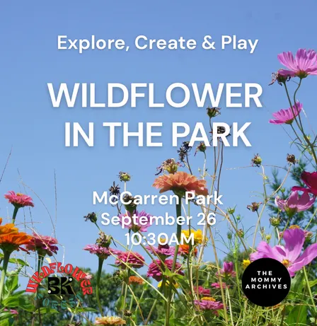 Wildflower in the Park