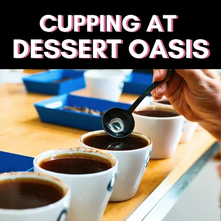 ONYX CUPPING