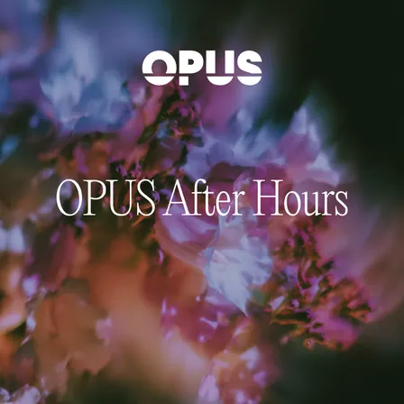 OPUS After Hours - Web Summit Edition