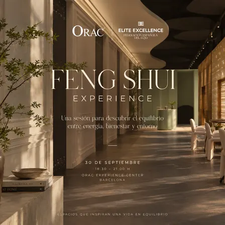 FENG SHUI EXPERIENCE