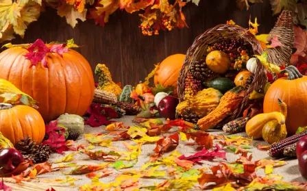 Bay Area Canadians 2026 Canadian Thanksgiving Potluck