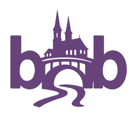 Bridges Over Basel 4 - Career paths beyond academia : VC