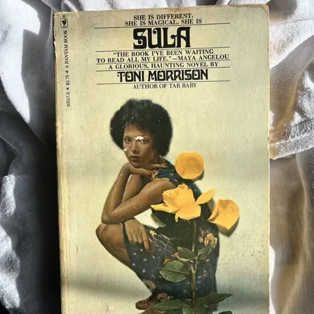 Sula - A Final Discussion